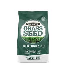 Kentucky 31 Tall Fescue Grass Seed Pennington