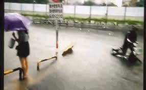 Maybe you would like to learn more about one of these? Flooding Gifs Wifflegif