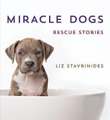 Miracle Dogs : Rescue Stories by Liz Stavrinides (2014, Hardcover) for sale  online