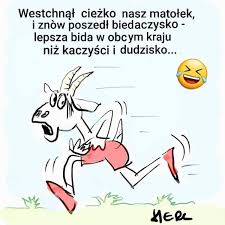 Jeżeli już jesteś osobą, która posiada de fakto nieskończone poczucie humoru, to kategorycznie polecam jest wyszukać najśmieszniejsze strony w sieci. Smieszne Memy Polityczne Najlepsze Memy O Politykach