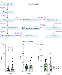 Die steroidhormonsynthese und deren regulation. Developmental Vitamin D Deficiency Increases Foetal Exposure To Testosterone Molecular Autism Full Text