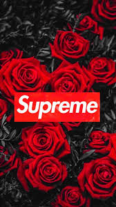At 07:39 24.05.2021 our collection of wallpapers includes 50 of the best free supreme laptop wallpapers. Rose Supreme Wallpapers Top Free Rose Supreme Backgrounds Wallpaperaccess