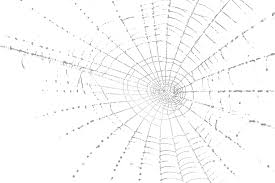 Spider Web Psd Transparent Cartoon Jing Fm Pngtree provides you with 279 free transparent spider web png, vector, clipart images and psd files.