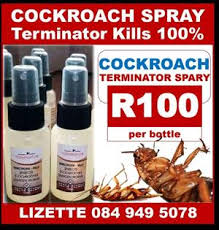 Each of these methods kills bugs effectively, but offers no residual effect, and may be labor intensive. Other Pest Control Services In Gauteng Junk Mail