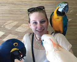 Collingwood auction & flea market source: Parrots Macaws And Other Exotic Birds Are At Home At Naples Haven Spotlight News Magazine