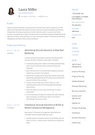 Pitching yourself for a job. Account Executive Resume Writing Guide 12 Templates Pdf 20