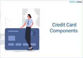 Unlike traditional credit cards, credit builder helps you build credit with no fees and no interest. Components Of A Credit Card Mymoneysouq Financial Blog