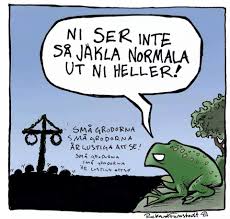 Små grodorna, små grodorna är lustiga att se. Sma Grodorna Christer L Hansson