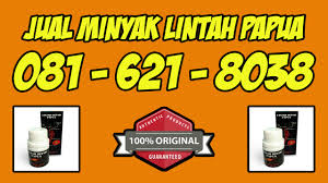 Hasil gambar untuk minyak lintah karawang