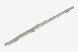 Best flute brands for advanced. 11 Best Flutes For Beginners 2019 The Strategist
