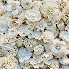 Its natural white color adds to the look of the flower and makes it easy to color the flowers in any required shade. Amazon Com 100 Sola Wood Flower Assortment Furniture Decor