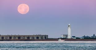 As one of 12 full moons to admire every year, april's moon was dubbed the pink moon. M2xw7zqo9amdam