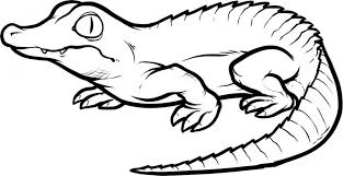 New realistic alligator coloring pages face page nice alligator. Get This Printables For Toddlers Alligator Coloring Pages Online Free M7pzl