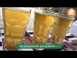 Tutoriel Preparation De La Tisane D Artemisia Mai 2020 Youtube En 2021 Tisane Preparation Tutoriel