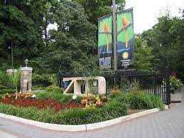 Dc Guide What To Do Washington Zoo Smithsonian Washington Dc Travel