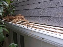 These guards are among the least expensive and the easiest to install. Are Gutter Guards Worth It Clean Pro Gutters