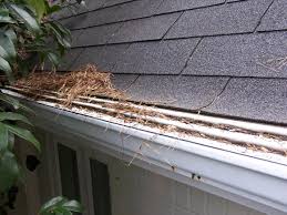 Alibaba.com offers 2,541 steel gutter guard products. Are Gutter Guards Worth It Clean Pro Gutter Cleaning