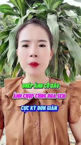 Video Ghép Ảnh Hoa Sen