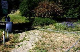 Memorial Grove El Cerrito Trail Trekkers