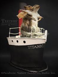 Novelty Squirrel Taxidermy Mount Titanic Scene W Jack And Rose Taxidermy Mounts Taxidermy Squirrel