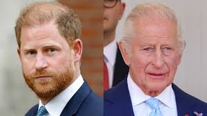 Why corporates are hitting the surf