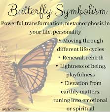 Black And White Butterfly Spiritual Meaning What Is The Meaning Of The Butterfly This Animal Totem Is Primarily Associated With Symbolism Of Butterfly Spirit Animal Butterfly Quotes Butterfly Symbolism