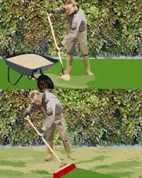 Check spelling or type a new query. Aerer La Pelouse Sablage Du Gazon