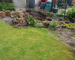 Hattet Ihr In Euren Garten Auch So Ein Wildwuchs Auf Diesem Bild Haben Wir Die Meisten Baumwurzeln Schon Ausgegraben Leid Gartenarbeit Garten Baumwurzel
