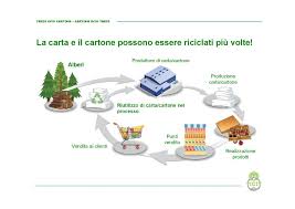 Carton Lifecycle Chart It Page 001 Pro Carton