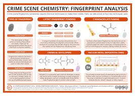All you need is 3 things to make this fingerprint cross craft! Crime Scene Chemistry Fingerprint Analysis American Scientist