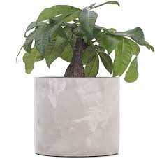Outdoor concrete planter pots are scientifically designed to ensure the best breathability and watering mechanisms to ensure that your lovely plants and flowers keep flourishing. Amazon Com Ekirlin Modern Round Indoor Cement Flower Planter Cement Flower Pot For Outdoor Succulent Ca Cement Flower Pots Flower Planters Cement Flowers