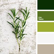 Displaying Cvetovaya Palitra 249 Jpg Green Color Schemes Green Colour Palette Green Palette