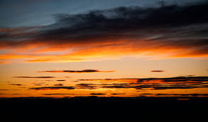 tanner moran (@tannerrmorann__)