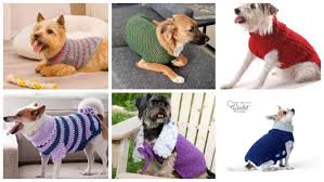 Walmart.com has been visited by 1m+ users in the past month 6 Cozy Crochet Dog Sweater Patterns The Crochet Crowd