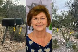 Nancy Guthrie's Neighbors Decorating Trees, Mailboxes with Yellow Ribbons  amid Search