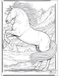Realistico Animale Realistica Immagine Di Sesiweb Di Pagine Da Colorare Animali Da Colorar Disegni Da Colorare Pagine Da Colorare Per Adulti Libri Da Colorare