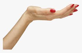 Hands Png Hand Image Women Hands Transparent Background Hands Out Png Png Download Kindpng Free providing high resolution and excellent quality png image collections with transparent background. hands png hand image women hands