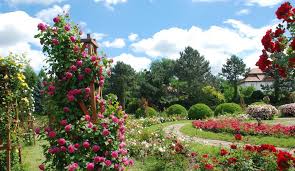În anul 1964 pentru grădina botanică a fost ales un alt loc, iar în 1965 a fost. Prima GrÄƒdinÄƒ BotanicÄƒ Din Romania