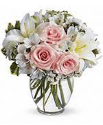 We did not find results for: Flowers To Methodist Willowbrook Hospital Houston Texas Tx Same Day Delivery By A Local Florist In Houston