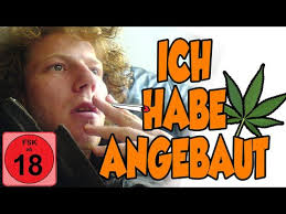 Alle Vinceandweed Folgen