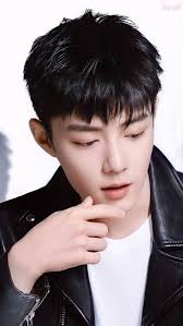 Appreciation for Chinese Actress Zhao Lusi's Beauty and Talent