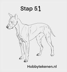 Zij moeten niet worden aangesloten op het hoofd, ze moet eronder.stap 3: Hond Kop Tekening