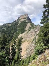 Image result for Calostephane