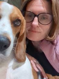 Rumi the Beagle (@rumi_the_beagle)