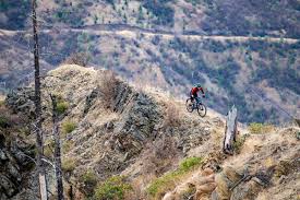 See more ideas about bike, mountain bike brands, mountain biking. Best Mountain Bike Brands Of 2021 Switchback Travel