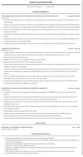 corporate governance resume sample