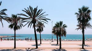 Vielseitigkeit wird in spanien großgeschrieben. Barcelona Fitnessurlaub Fur Reiseathleten Fitnessreisen Barcelona