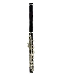 They are reedless instruments and their sound is produced by blowing across the mouthpiece hole. John Packer New Piccolo Flute Wooden Body And Head