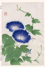 Morning Glory From Shodo Kawarazaki Spring Flower Japanese Woodblock Prints Japanese Woodblock Printing Japanese Art Styles Botanical Drawings