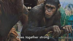 What Are Bored Ape Nfts Complete Guide To Bored Ape Yacht Club